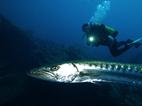 Bali Scuba Diving Holiday - Werner Lau Dive Centre.